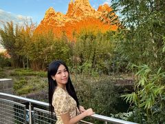 -奥兰多迪士尼动物王国乐园