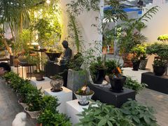 -荷兰花海