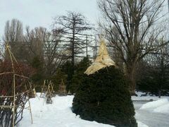 android_upload_pic-北海道厅旧本厅舍(旧本庁舎)