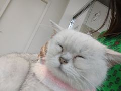 -怪兽屋·羊驼·猫咖·狗咖(俊华广场店)