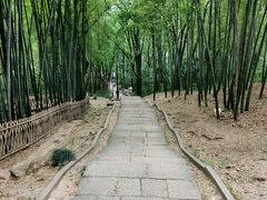 -杭州黄龙洞