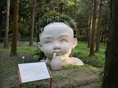 -东平国家森林公园