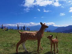 -硗碛藏寨·神木垒景区