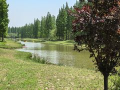 -黄海国家森林公园