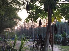 -鹿福农庄(南沙天后宫店)