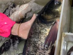 -君乐阁食府(上城店)