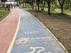 -绿堤公园