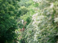 -悟空山宿陨石私汤温泉酒店(神舟大道地铁站店)