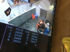 -八公叔叔宠物美容连锁(春申店)