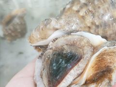 -山海经·海边人家 海鲜新青岛菜(扬州路店)