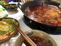 -青年火锅(吾悦广场直营店)
