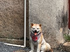 -三溪村