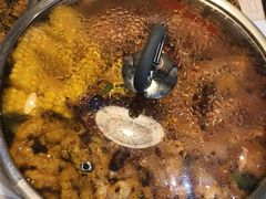 -黄记煌三汁焖锅(渝北金港国际店)