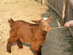 -祥源·阜阳生态乐园