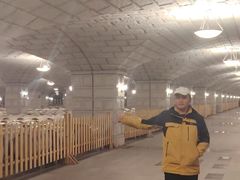 -紫轩葡萄酒庄园