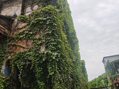 -伦教678文化街