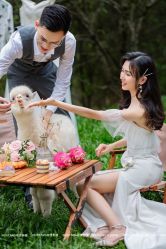 -花漾摄影优选工作室(东莞原创作品店)