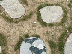-新洲生态园