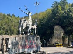 -长沙黑麋峰国家森林公园