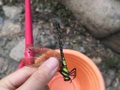 -碓臼峪自然风景区