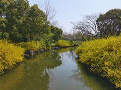 -上海滨江森林公园