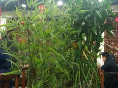 -西江美食舫·江西菜(健德桥店)