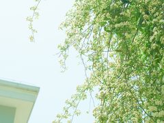 -颐和路民国时期公馆-风貌区