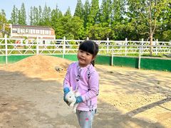 -前小桔亲子创意农场·草莓采摘·露营烧烤