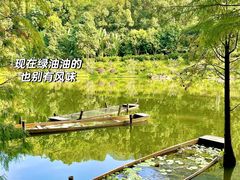 -深圳仙湖植物园