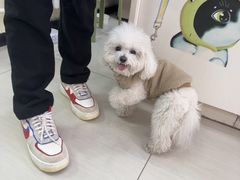 -全心全意连锁动物医院·微创中心·内科急重症·心脏专科(丰管路店)