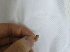 -金凤成祥(东直门现烤面包店)