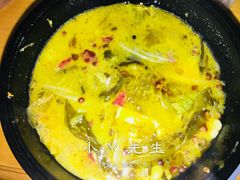 -捞鱼儿·酸菜小鱼(双塔西街店)