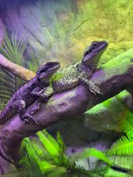 -酷嗒动物文化乐园(cutezoo西溪乐天城店)