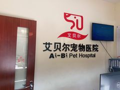 -艾贝尔宠物医院 ·内科全科(梁溪路店)