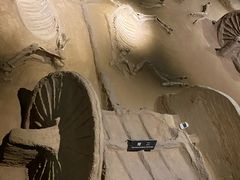 -洛阳周王城天子驾六博物馆