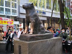 -涩谷区