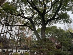 -豫园