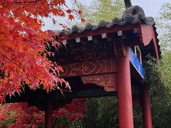 -竹子庵公园