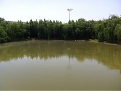 iphone_upload_pic-江南粥家庄(宁国路店)