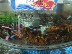 水产区-抹直口特色菜馆(一店)