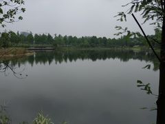 -桐乡凤凰湖