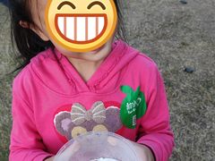 -前小桔亲子创意农场·草莓采摘·露营烧烤