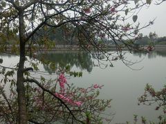 -三圣花乡旅游区