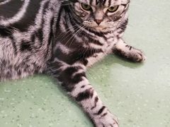 -藦茜花园宠物主题亲子互动体验馆(国顺东路店)