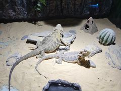 -顺德南宏海立方海洋公园