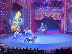 -珠海横琴长隆《卡卡虎奇遇记》