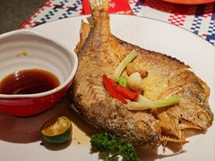 香煎大黄鱼-蚝魁·海鲜大排档·啫啫·生蚝(体育西店)