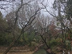 -南北湖风景区