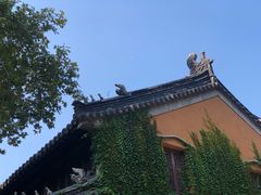 -灵谷景区
