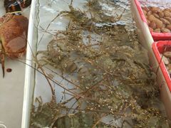 -南沙十九涌渔人码头-南门